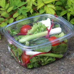 Clear Food Container with food