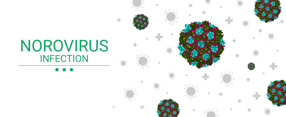 Norovirus Infection Banner